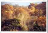 Photo30
