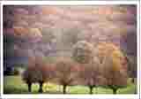 Photo20