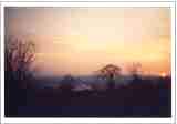 Photo29