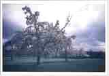Photo45
