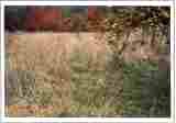 Photo27