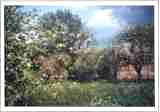Photo 09
