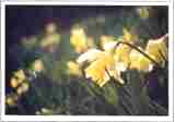 Photo 02