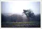 Photo 01