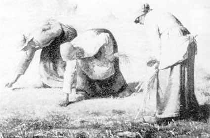 Les glaneuses de Millet