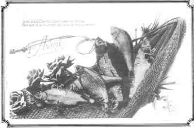 Poissons