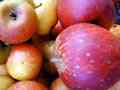 Pommes